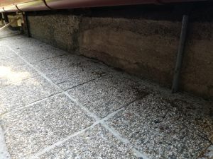 IMG_20180905_164351 (Large)